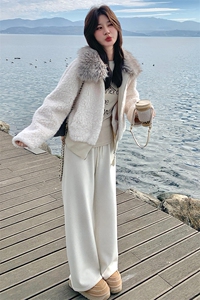 大毛领短款羊羔仿皮草外套毛绒保暖翻领冬季女图片