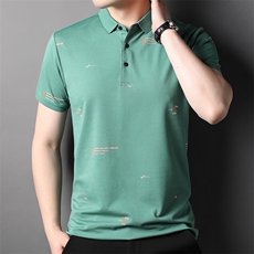 新款男装中年翻领Polo衫短袖上衣日常休闲宽松潮流男印花半袖P48，男装T恤，钱塘6003A(原)4033A