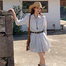 秋季少女风长袖套纹A字裙百褶连衣裙小众裙子显瘦气质长袖时尚，女装连衣裙，浙宝305