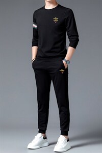 中年男装运动套装秋季刺绣爸爸装圆领中老年运动服男卫衣休闲套装图片