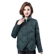 2022冬季休闲修身显瘦短款羽绒服外套舒适保暖外套，女装羽绒服，叶笙衣