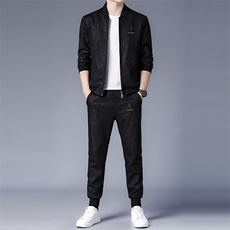 时尚潮流中年男运动套装秋休闲运动服装套装两件套ZL1919-P220，男装休闲套装，电商B212（原钱塘6029）