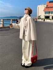 现货秋冬2025新款松弛感仿水貂毛外套高级感大衣2595-P215控328，女装短外套，2D009