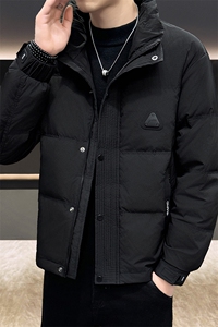 DS-A225标50冬季新款男士立领内衬石墨烯白鸭绒羽绒服3139P165图片