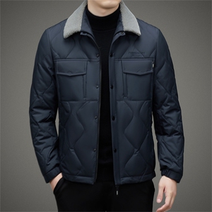 DZ8605钱塘2020-3中年男士冬季厚款翻领时尚休闲羽绒服P230图片