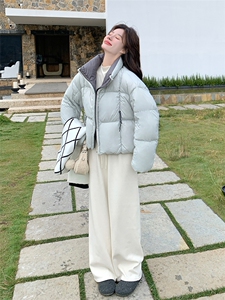 (现货)2025冬季新款短款加厚羽绒服2571款P295-K378图片
