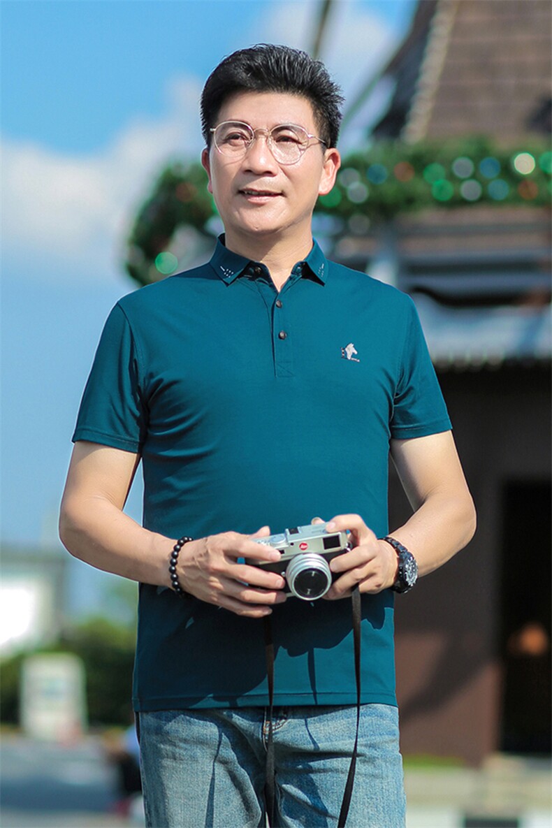 商务休闲男装夏季新款短袖T恤polo衫中年翻领薄款半袖体恤男上装,男装Polo衫,电商B212（原钱塘6029）