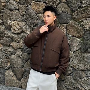 2025新标90白鸭绒冬季男立领高品质羽绒服大码外套304-P260图片