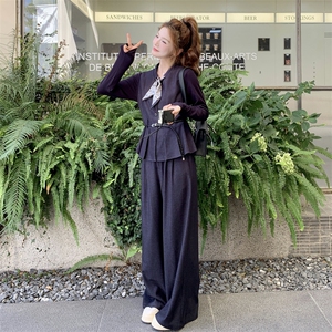休闲气质马甲T恤阔腿裤套装女春秋盐系轻熟巨好看三件套爆款超火图片