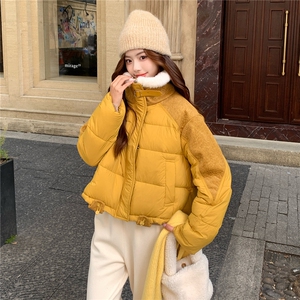 欧货羊羔毛翻领羽绒服拼接保暖8892款P290K458图片