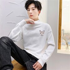 秋冬中领毛衣男套小猫头长袖外套男毛衫打底针织衫高领灰M228P35，男装针织衫/毛衣，星座1207
