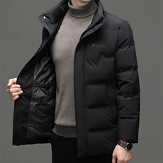 冬季新款男士立领羽绒服2022中年休闲男装加厚保暖白鸭绒外套上衣，男装羽绒服，钱塘6003（原4033）