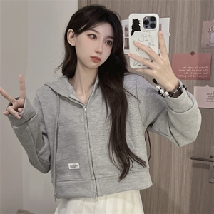 高腰短款潮牌卫衣设计感上衣秋冬韩版宽松情侣开衫卫衣E570-P40图片