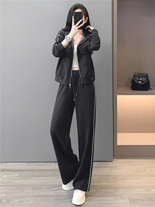 韩版休闲运动套装秋季新款女修身立领开衫卫衣直筒长裤两件套减龄图片