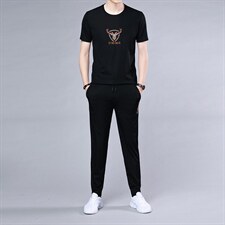 2023夏季运动套装男休闲圆领短袖T恤宽松潮流长裤休闲二件套，男装休闲套装，电商B212（原钱塘6029）