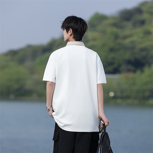 M-8XL夏季新款刺绣纯棉短袖翻领POLO衫2530-P40.45（控69｝图片