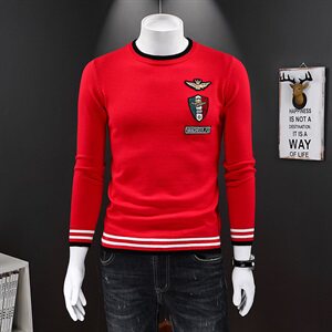 2020新品羊毛衫男士刺绣针织毛衣 QT711 2008 P110 假模 冬季款,男装针织衫/毛衣,钱塘6066（原711）