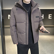 店主风2025年新款时尚连帽潮流保暖羽绒服男A236-G992-P215，男装羽绒服，电商A236