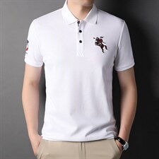 新款T恤男士纯色翻领纯棉商务休闲宽松运动服上衣潮流百搭体恤衫，男装T恤，电商B212（原钱塘6029）