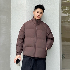 2025冬季标90绒立领白鸭绒羽绒服大码跑量款301-p270，男装羽绒服，星座223（原229-2）