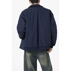 D-A178-MY008特P55冬季棉衣外套，男装棉衣，电商A178
