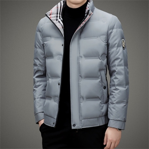 2023年新款羽绒服P220图片