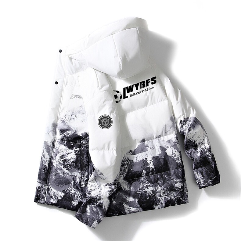 现货外贸侧飞图立领光板团体服班服宽松韩版情侣学生外套羽绒服，男装羽绒服，星座301D-5(原星座1415）