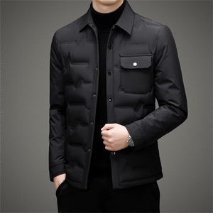 V2122钱塘2020-3秋冬新款男士翻领羽绒服保暖商务休闲外套P185图片