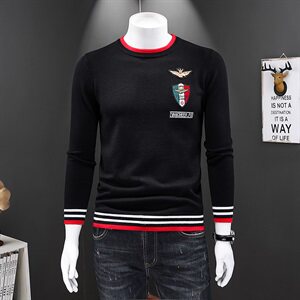 2020新品羊毛衫男士刺绣针织毛衣  QT711 2008 P110 假模 冬季款图片