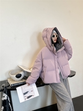 2025年秋季常规立领拉链长袖单件松紧帽时尚百搭，女装羽绒服，禾雯电商供货