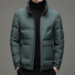 羽绒服冬季男短款立领休闲中青年男士冬装外套DFLDY8005-P255图片