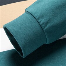 BP2716钱塘2020-2秋季新款中年男士长袖上衣翻领休闲百搭T恤P64，男装T恤，钱塘207-2
