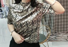 秋冬新款现货，高品质丝绒上衣减龄白搭款 S-3Xl尺码，其它，艺尚丽人