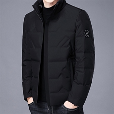 羽绒服男冬季新款商务休闲上衣中年爸爸装纯色立领保暖加厚外套，男装羽绒服，电商B212（原钱塘6029）