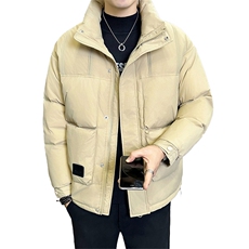 标90白鸭绒店主风轻奢高级感立领羽绒服外套男X8608-P300，男装羽绒服，电商A413