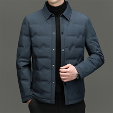 BN3966钱塘2020-2商务简约简约冬季厚款中年男士90鸭绒羽绒服P180，男装羽绒服，钱塘207-2