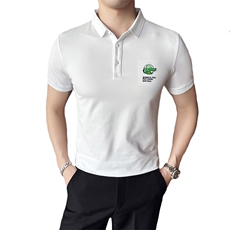 2024夏季新款修身短袖POLO衫韩版时尚刺绣T恤男D8802-p55控85，男装Polo衫，电商D303