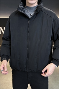 90新标2025冬立领加厚外套简约休闲短款设计款羽绒服Z9558-P295图片