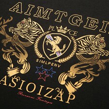 长袖男士圆领卫衣印花体恤2023秋季中年商务休闲时尚打底衫男装，男装卫衣，电商B212（原钱塘6029）