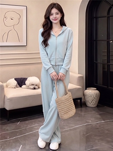 欧货时尚运动套装女春秋新款洋气减龄连帽拉链开衫卫衣长裤两件套图片 欧货时尚运动套装女春秋新款洋气减龄连帽拉链开衫卫衣长裤两件套图片