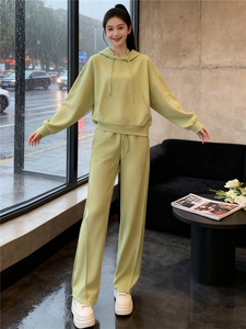 女秋季网红炸街时尚运动套装盐系穿搭纯色连帽卫衣阔腿长裤两件套图片
