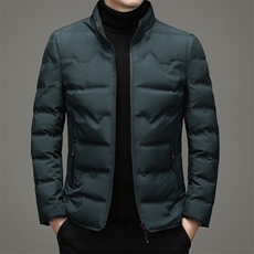 AN9877钱塘2020-3秋冬新款中年男士立领休闲简约羽绒服外套P142，男装羽绒服，钱塘207-3
