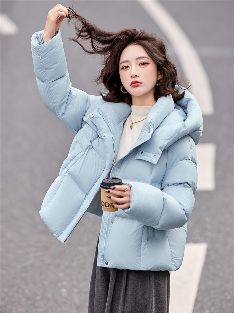 短款连帽立领羽绒服女冬2025新款韩版休闲小个子90白鸭绒加厚保暖,女装羽绒服,辉之琳