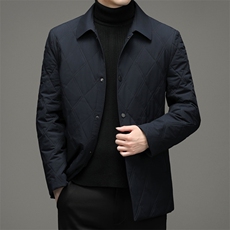 冬季外套男棉衣中年商务翻领棉服休闲上衣爸爸装棉袄A9601-P165，男装棉衣，电商B212（原钱塘6029）
