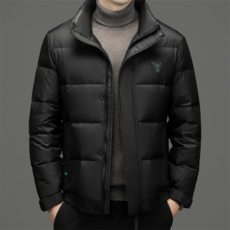 CAH9316钱塘2020-2冬季厚款时尚休闲简约立领中年男士羽绒服P240图片