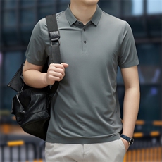 男装短袖T恤男2023夏季新款纯色翻领POLO衫中年商务休闲体恤上衣，男装Polo衫，电商B212（原钱塘6029）