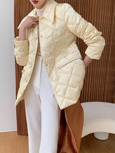 冬季新款 收腰羽绒服图片
