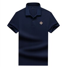 夏季新款男士翻领短袖t恤中年有领男装上衣服休闲POLO衫，男装T恤，电商B212（原钱塘6029）
