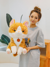 顶新玩具 坐姿大脸猫咪