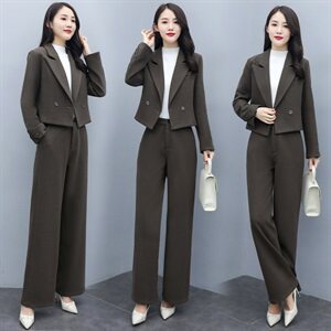 2020冬季时尚百搭复古两件套通勤气质翻领女图片